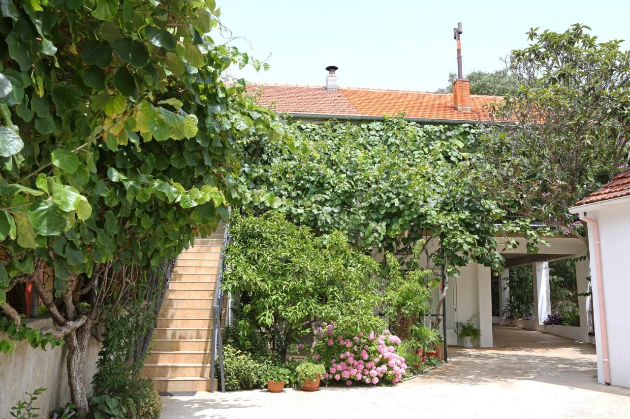 Apartments With A Parking Space Bibinje, Zadar - 18843 Eksteriør billede